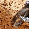Het motorcrossseizoen is weer begonnen! Zorg dat je crossmotor in topconditie is met de juiste onderdelen en accessoires. Lees hier hoe je goed voorbereid de baan op gaat!